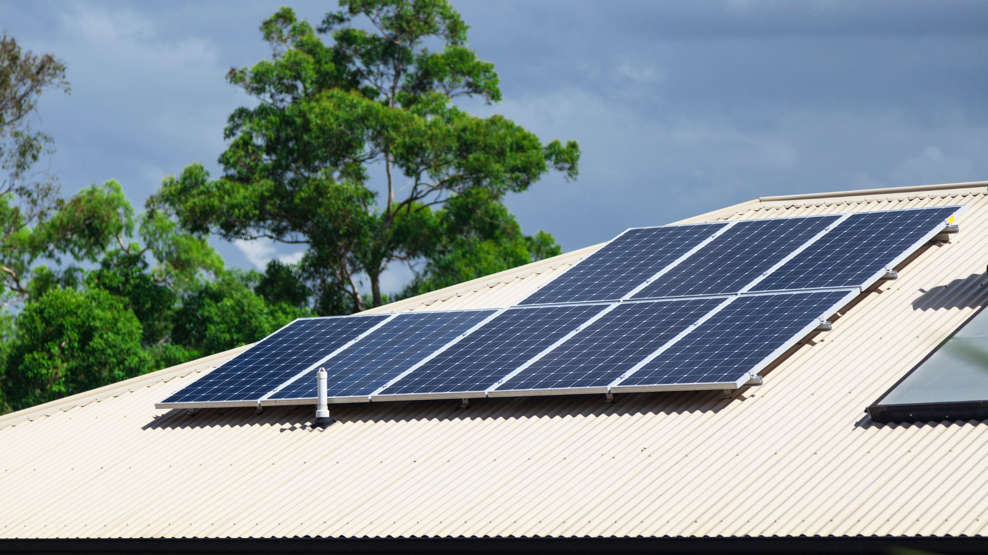 How Growing Trees Can Affect Solar Panel Performance Over Time